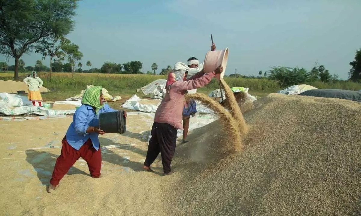 Farmers making heaps of paddy at a procurement center in Arjalabavi on Monday