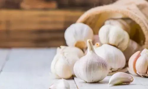 National Garlic Day
