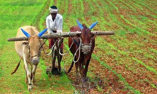 Rythu Sangham against cash transfer in lieu of free rice