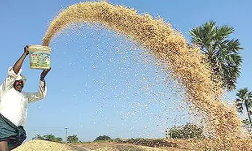 Shortage of gunny bags haunts paddy procurement in Karimnagar