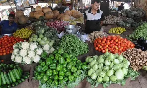 Rising crude, commodities push WPI to 4-month high