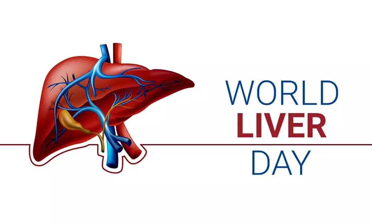 Your liver is your vital detoxification organ, it is also second most complex organ in the body.