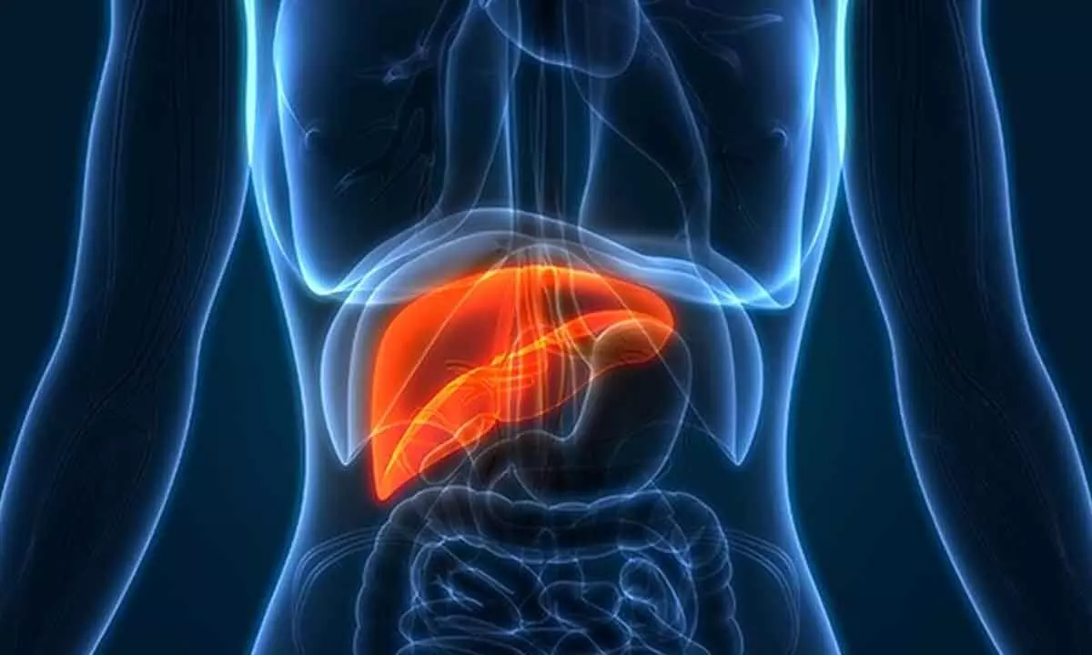Maintain healthy weight to have healthy liver.