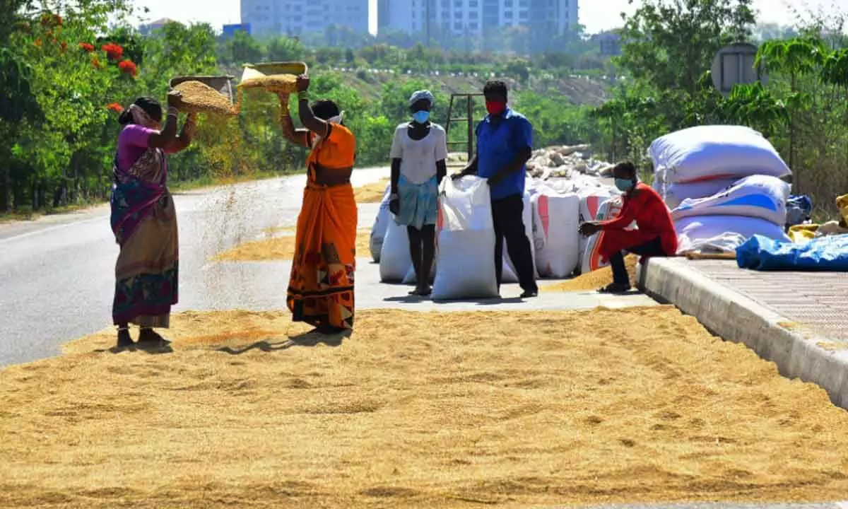 Distress sale of paddy in Telangana