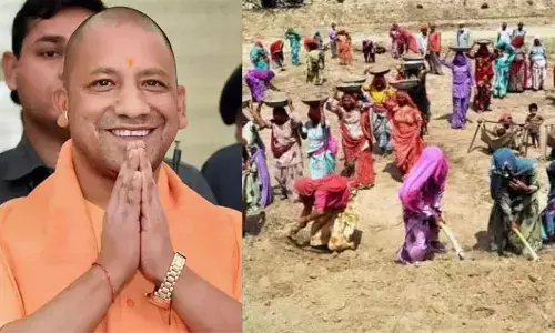 Yogi govt to develop 150 nurseries under MGNREGA