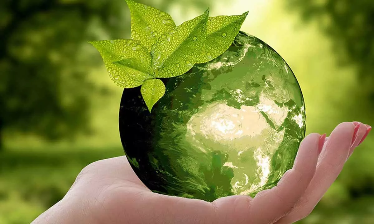 Join hands with your partner to save the earth this World Earth Day