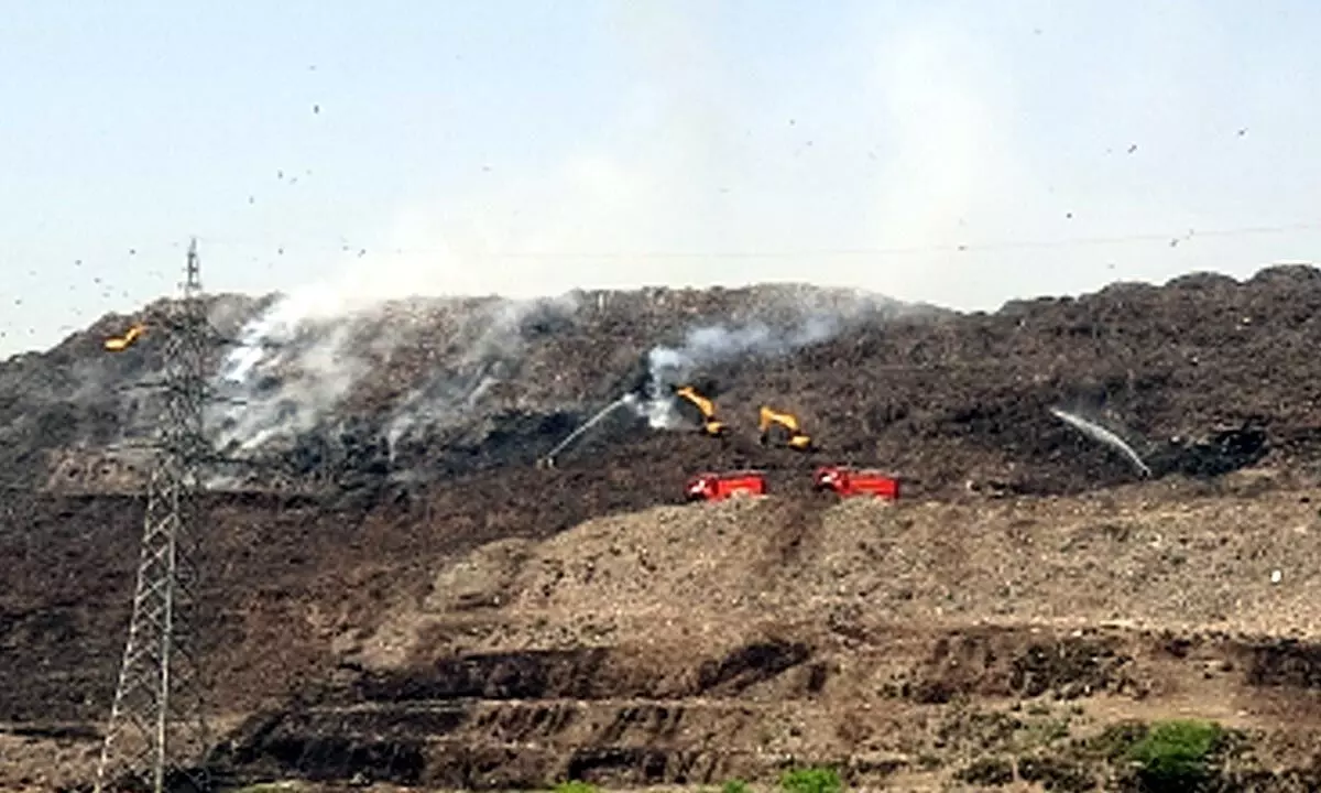 Ex-Delhi High Court Judge-led panel to look into Ghazipur landfill fire