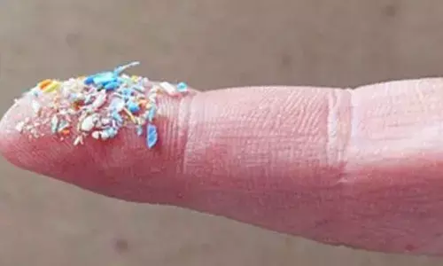 Disposable coffee cups shed tonnes of microplastics, avoid them