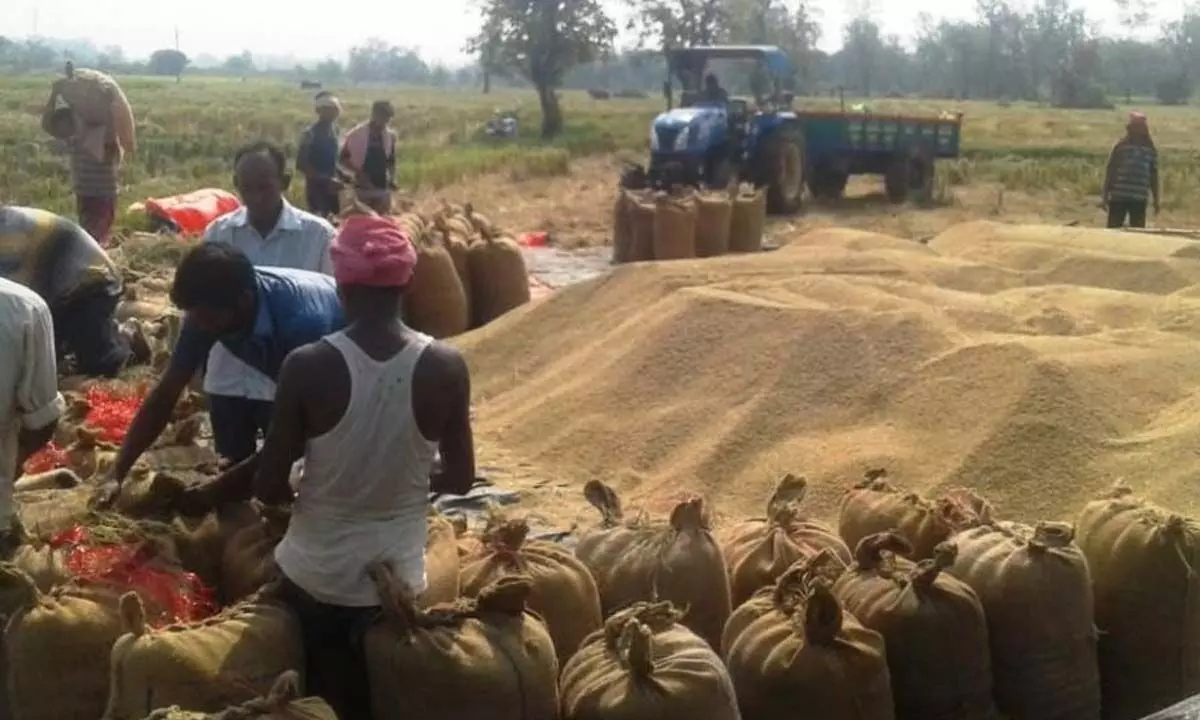 After TS, Odisha targets Centre over paddy procurement