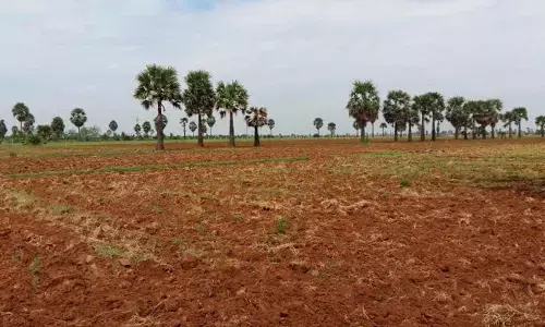 Representational image