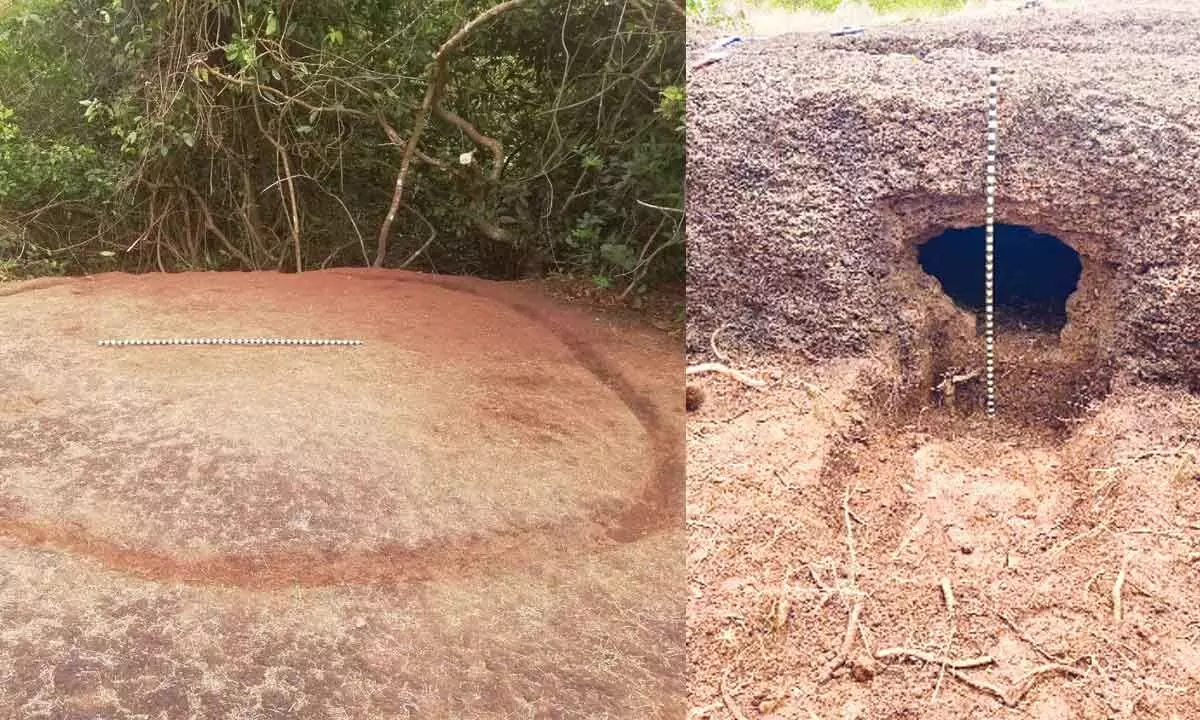 Megalithic-era cave discovered in Dakshina Kannada