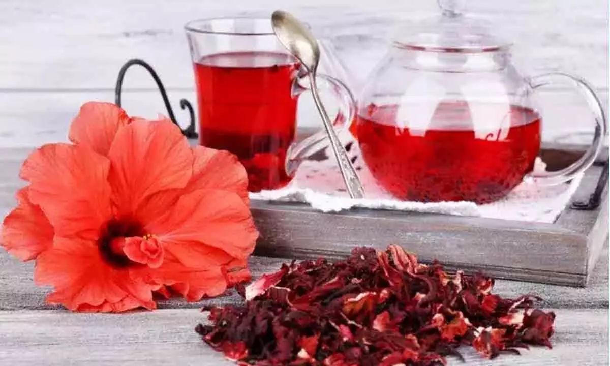 Hibiscus Tea: Know its benefits & side effects and also learn how to make it