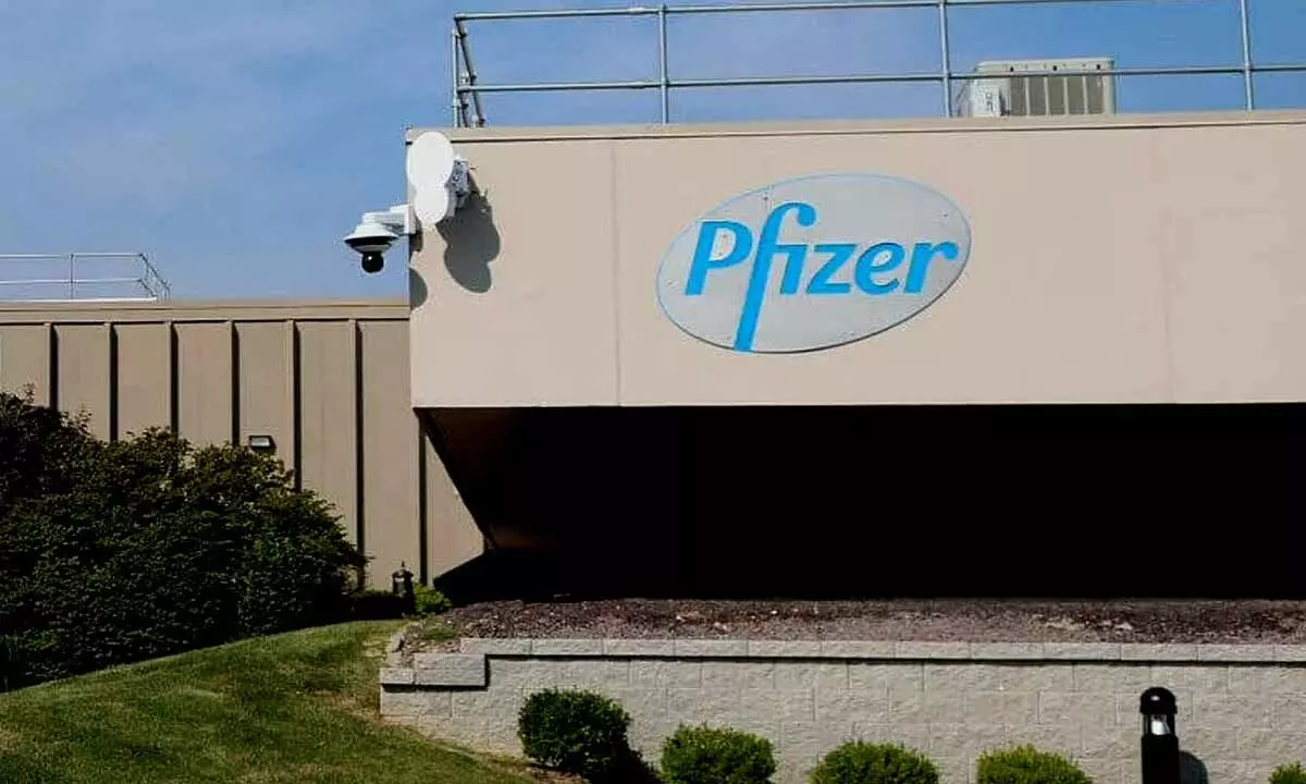 Pfizer, BHEL & RBL Bank are the most visible Mid-cap Companies: Wizikey Report