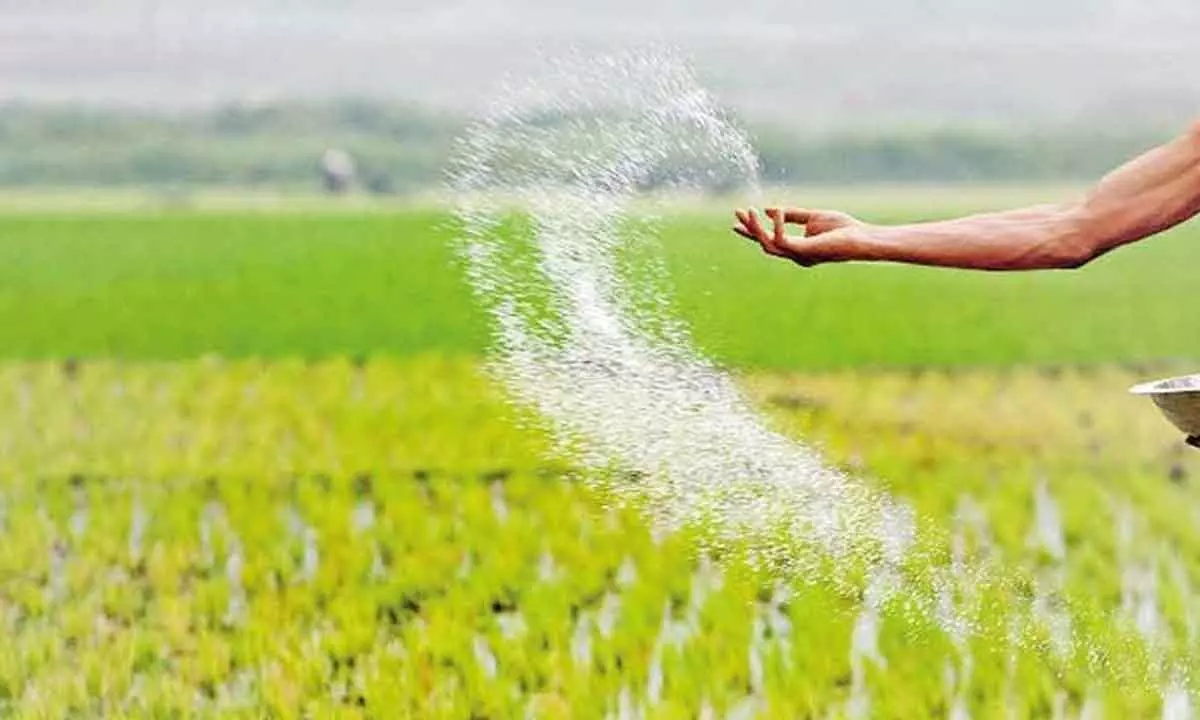 Centre approves Rs 60,939 crores subsidy for fertilisers