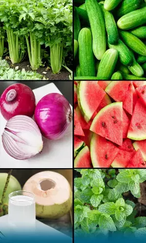 9 best cooling food you need to try to beat the heat