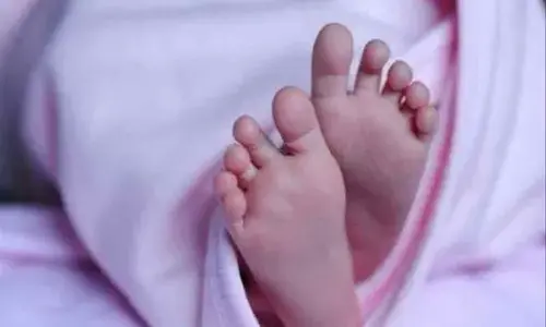 Stray dogs attack 2-year-old boy, dies