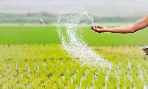 Centre approves Rs 60,939 crores subsidy for fertilisers