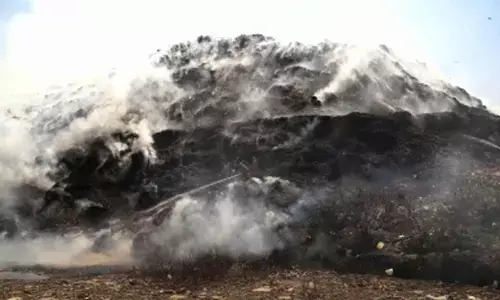 Delhi govt slaps Rs 50L fine on North MCD for Bhalswa landfill fire