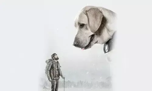 Rakshit Shetty-starrer ‘777 Charlie’ digital, satellite rights sold for hefty sum