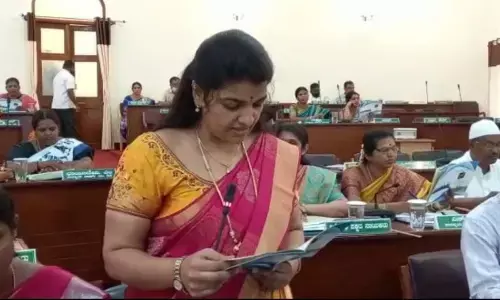 MCC budget turns focus on green initiatives