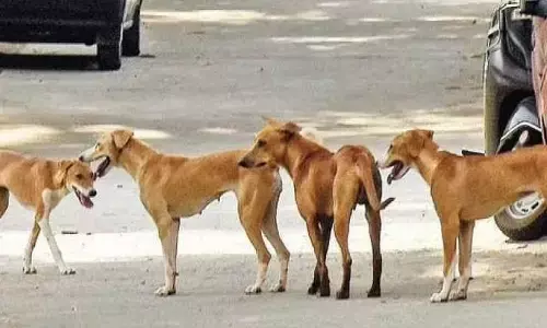 Representational image