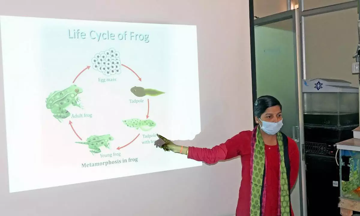 Education team of IGZP giving a digital presentation on the life cycle of frogs at the zoo in Visakhapatnam on Saturday.