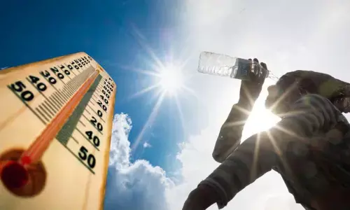 Public to face brunt of heatwave in TS for next 5 days: IMD