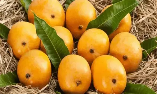 Mango Mela all set to return after two-year Covid-hiatus