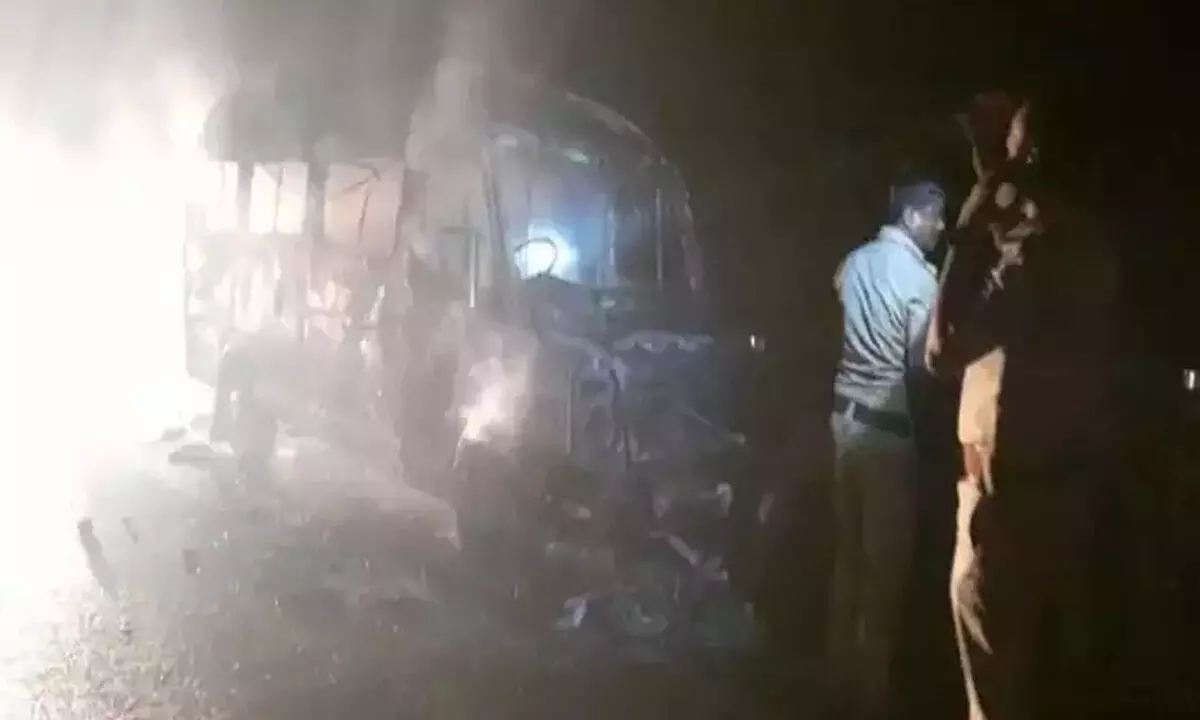 13 cows killed in fire mishap