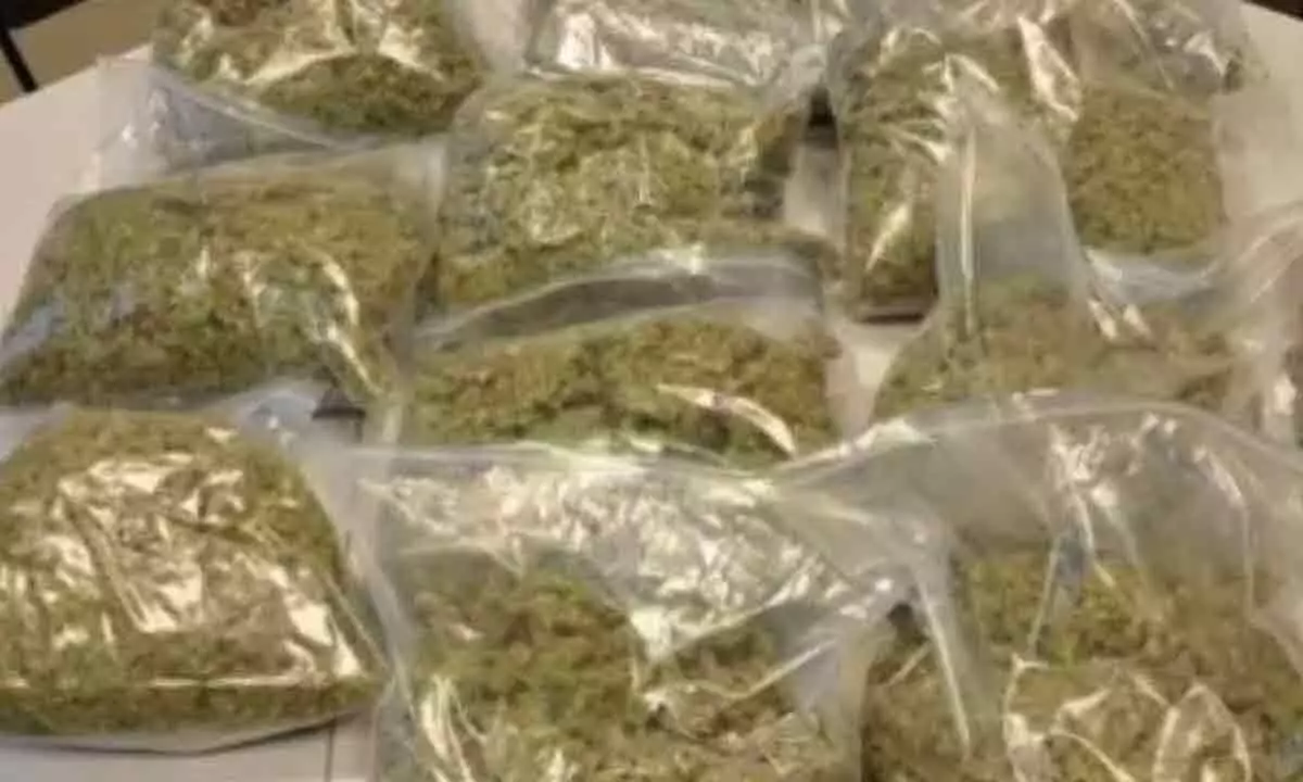 Ganja seized from overturned car, two absconding
