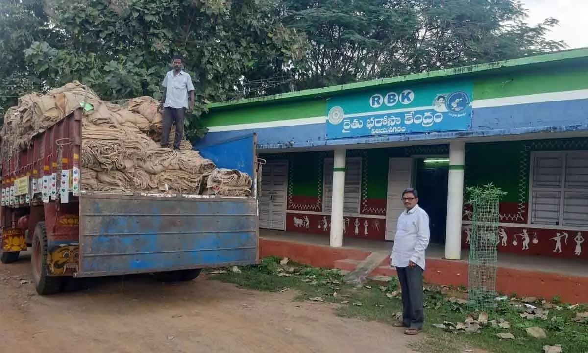 Arrangements in place to procure rabi paddy