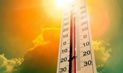 AP Weather update: Heatwaves to effect 45 mandals in the stated today