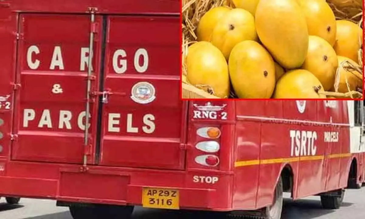TSRTC launches Mango Express Service