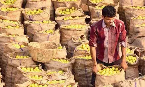 Price of lemon skyrocketing in Vijayapura district