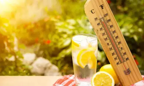 How to survive scorching summer