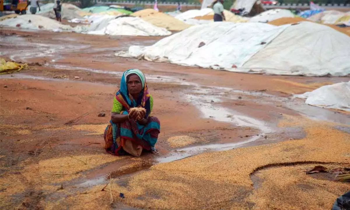 Hyderabad: Heavy rain, gales push farmers into severe distress