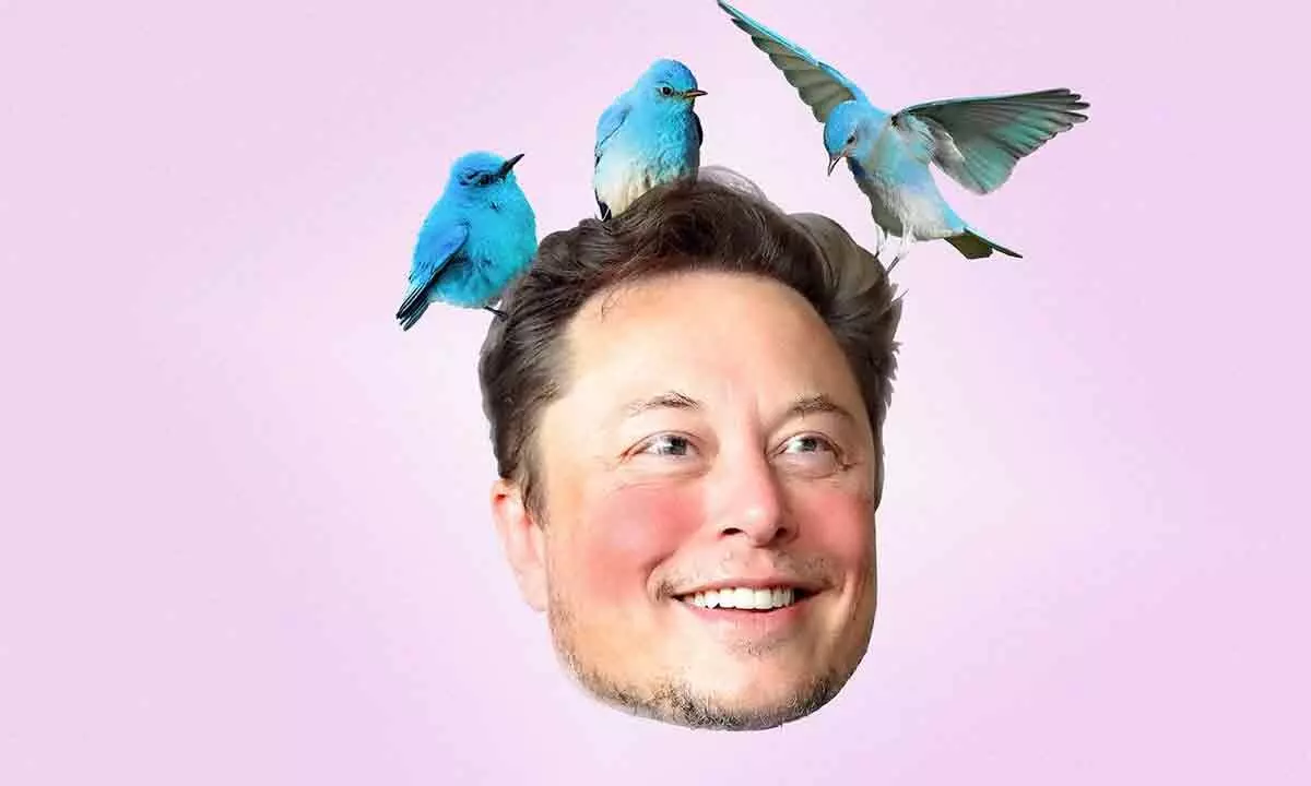 Twitter cant be free: Musk reveals plan to charge some users