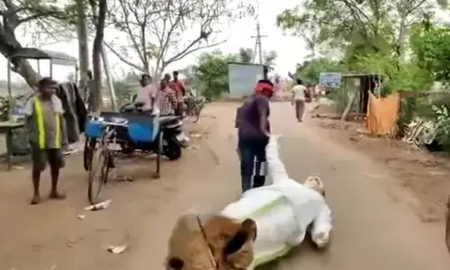 Chanti dragging YSR’s statue on the road in Krishnapallli village on Wednesday