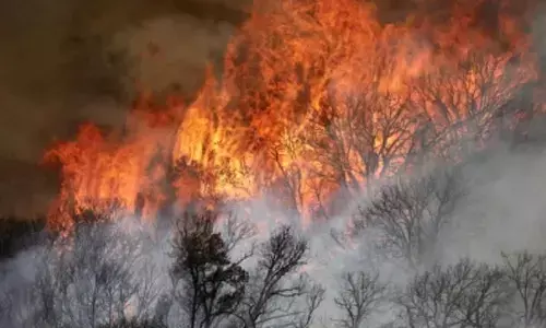 Raging wildfires lasting for weeks in the state of New Mexico