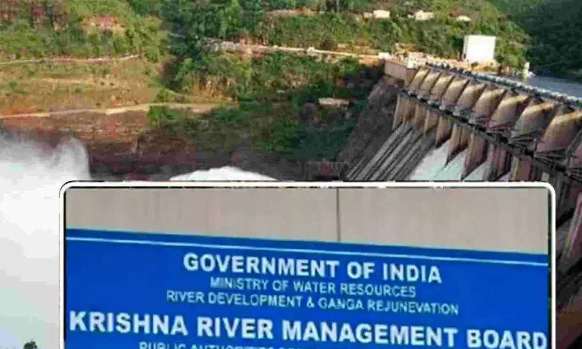 Krishna River Management Board