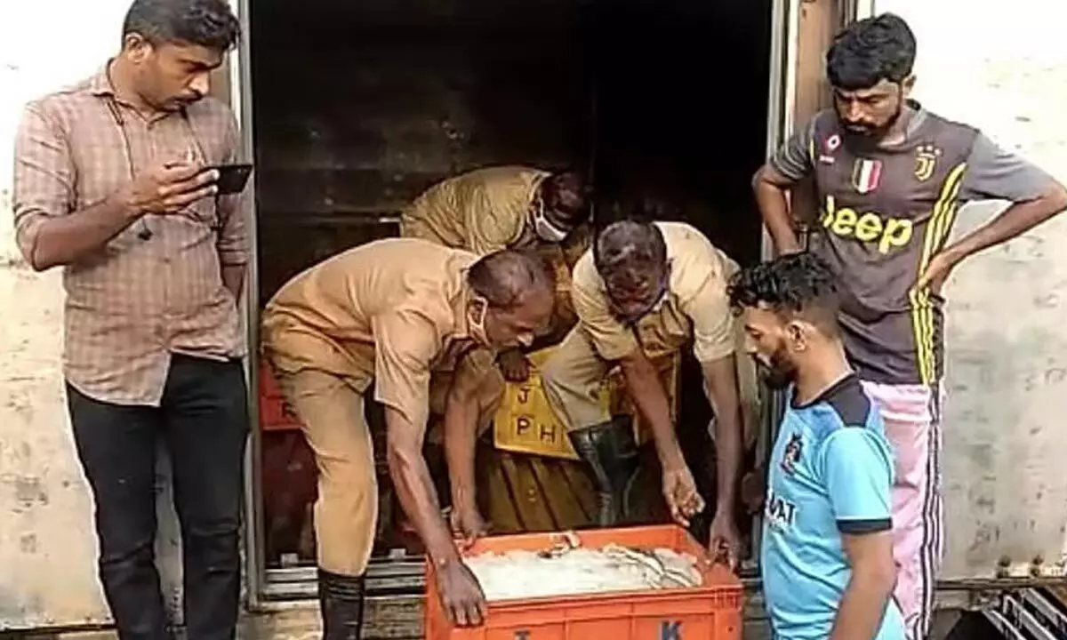 Officials found rotten fish in eight of the 50 boxes that arrived in a truck from Kanyakumari on Saturday.