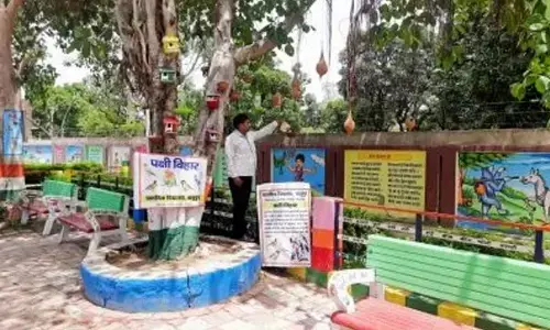 A unique gesture: School turns to birds to impart green wisdom