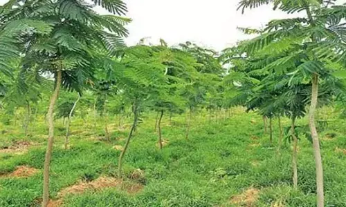 For representational purpose