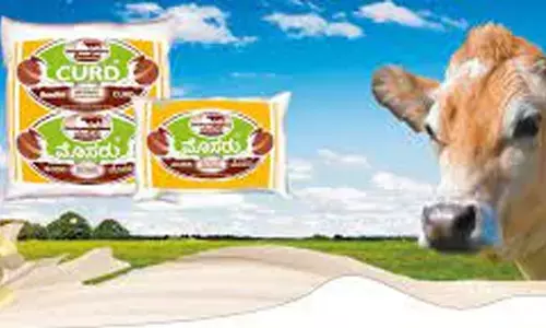 CHAMUL beats pandemic impact, exports milk to Nepal, Bhutan