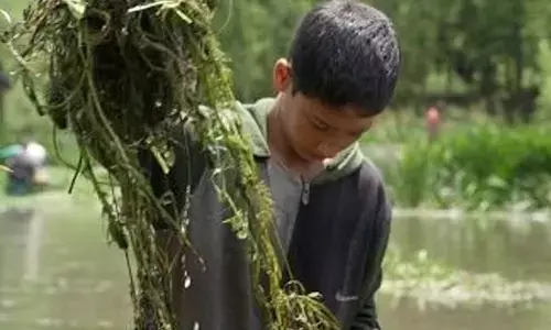 Kashmir’s community festival keeps natural spring clean and thriving