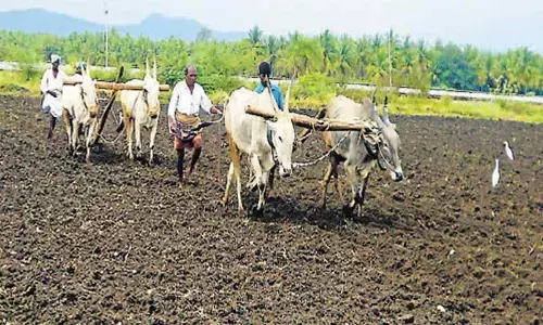 Farmers say no to land pooling