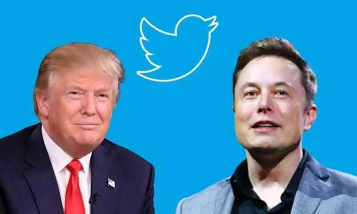 Donald Trump; Elon Musk