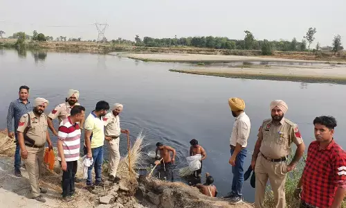 Industrial effluent, sewage used to brew illicit liquor in Punjab!