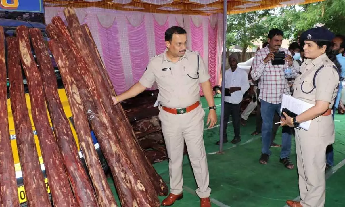 Tirupati district SP P Pramaeswar Reddy along with police officials inspecting the seized red sanders logs at Narayanavanam police station on Thursday