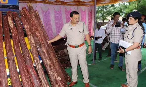 Tirupati district SP P Pramaeswar Reddy along with police officials inspecting the seized red sanders logs at Narayanavanam police station on Thursday